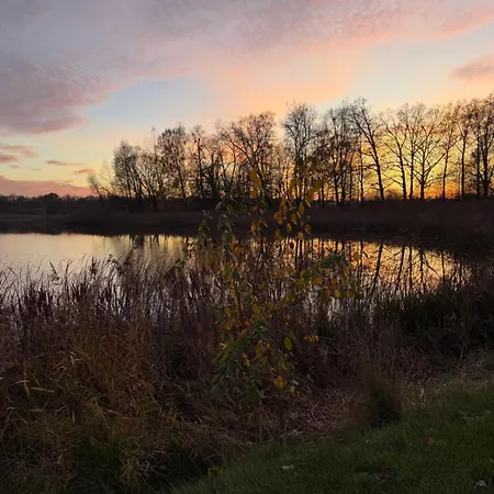 Mocha Mazury