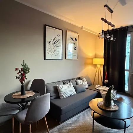 Mocha Mazury Daire *